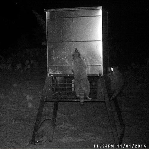 All Seasons Feeders 600lb Stand & Fill® Broadcast