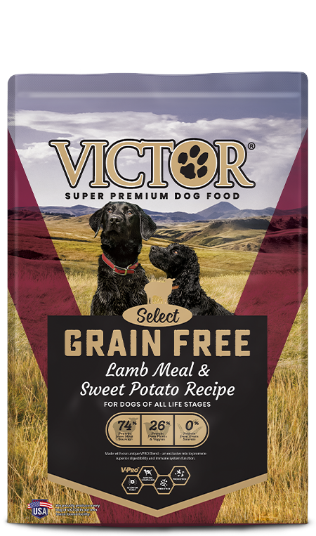 Victor Grain Free Lamb Meal & Sweet Potato Recipe Dry Dog Food