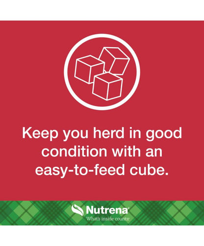 Nutrena 20% Cattle Cubes