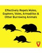 Victor Mole & Gopher Repellent
