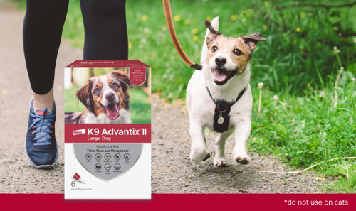 Bayer Elanco K9 Advantix® II flea, tick and mosquito prevention for dogs