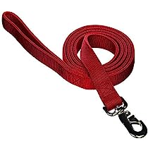 Leather Brothers One Ply Nylon Lead 1" x 6 ft. Red