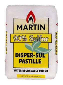 Martin Disper-Sul Pastille