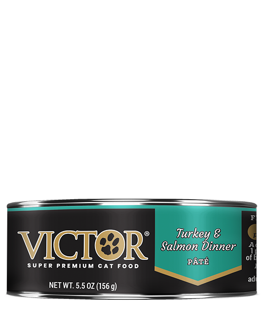 Victor Turkey and Salmon Dinner Pâté for Cat (5.5 oZ)